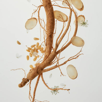 Beauty Of Joseon - Gingseng Essence Water (150 ml)