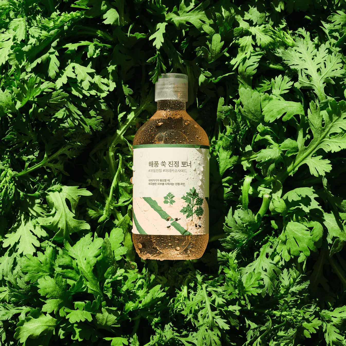 Round Lab Mugwort Calming Toner (300ml)|